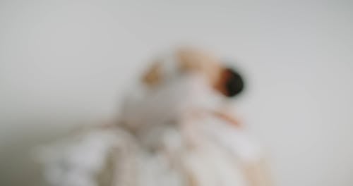 有关内衣, 坐, 堆的免费素材视频