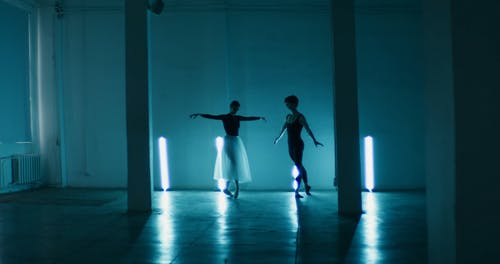 有关一对, 一起, 丹瑟尔的免费素材视频