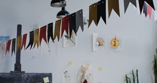 有关人体骨骼, 学校, 室内的免费素材视频