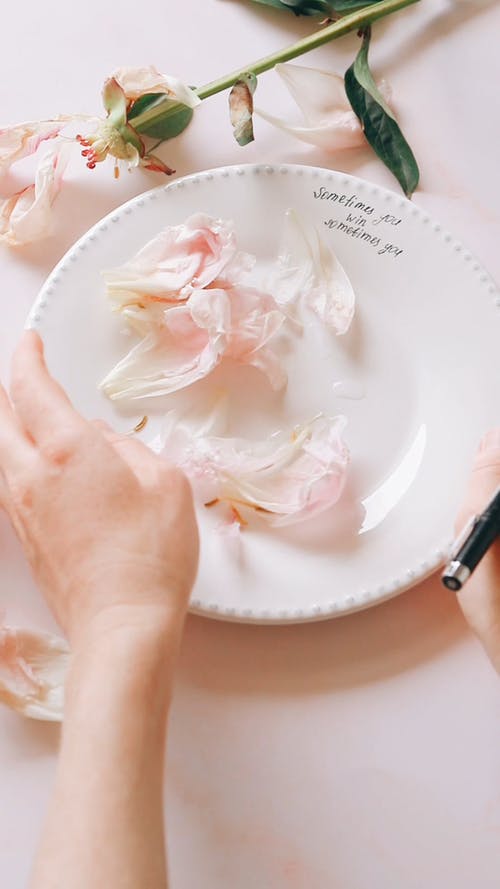 有关创作的, 垂直拍摄, 写作的免费素材视频