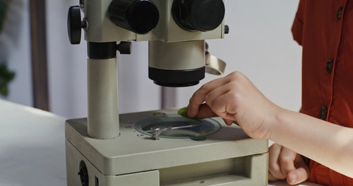 有关女孩,实验室,小孩的免费素材视频