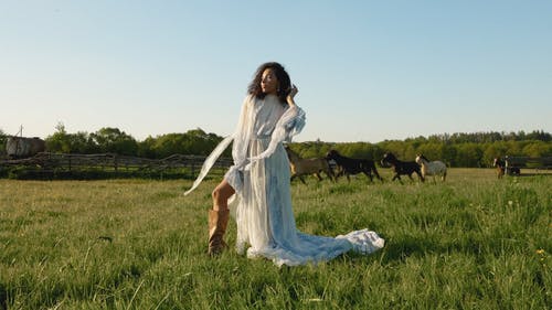 有关多风, 拍照片, 卷发的免费素材视频