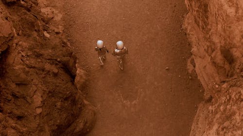 有关2, 一对, 俯视图的免费素材视频