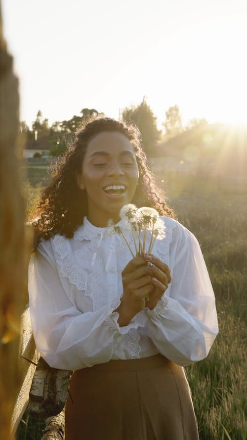 有关倚, 反对光明, 吹的免费素材视频