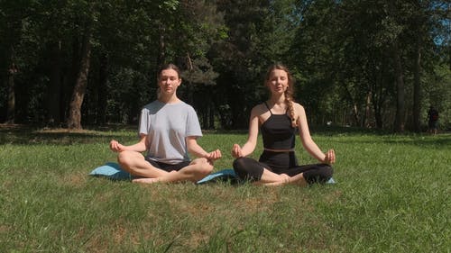 有关padmasana, 女性, 树木的免费素材视频