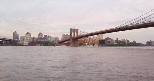 有关吊桥, 城市, 市中心的免费素材视频