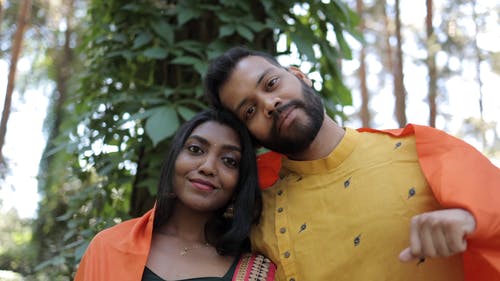 有关传统, 共和国印度日, 印度的免费素材视频