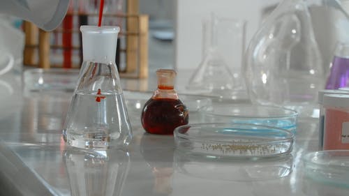 有关化学, 化学家, 培养皿的免费素材视频