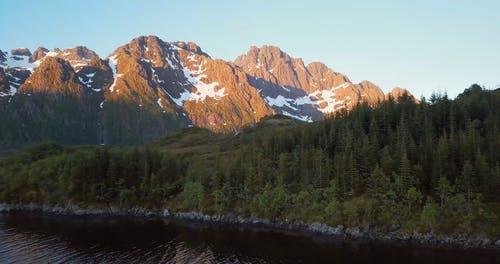 有关天性, 户外, 景观的免费素材视频