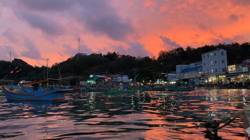 有关停泊, 南都岛, 波特酒的免费素材视频