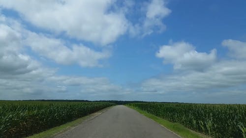 有关农业用地, 天性, 景观的免费素材视频