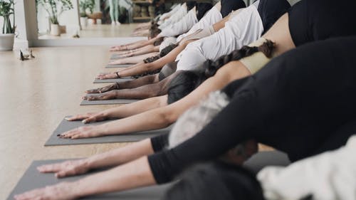 有关向下的狗, 瑜伽, 瑜伽垫的免费素材视频