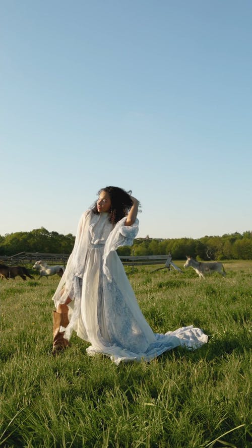 有关动物, 垂直视频, 多风的免费素材视频