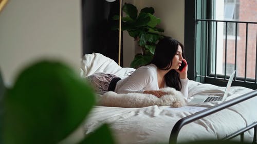 有关呼叫, 女人, 宠物的免费素材视频