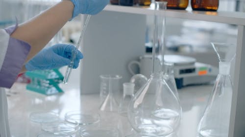 有关化学家, 培养皿, 实验室玻璃器皿的免费素材视频