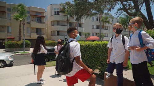 有关保护, 包包, 口罩的免费素材视频