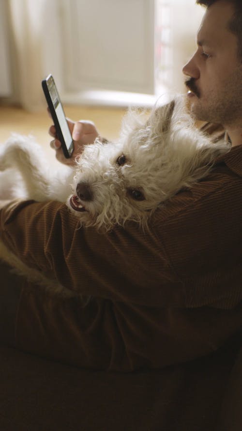 有关一起, 亲热, 人的免费素材视频