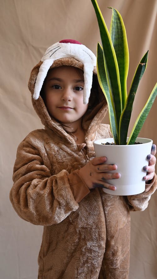 有关修剪花草, 儿童, 垂直视频的免费素材视频