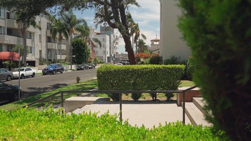 有关同学, 学校, 学生们的免费素材视频