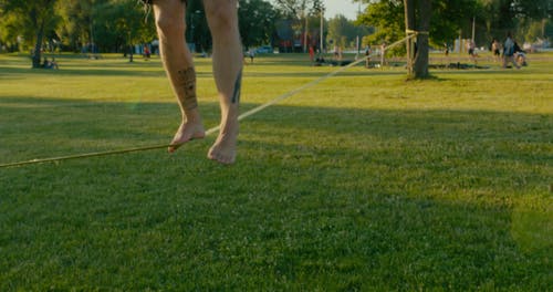 有关刺青, 刺青的, 拉紧的绳索的免费素材视频