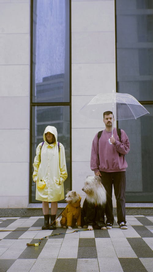 有关一对, 人, 垂直视频的免费素材视频