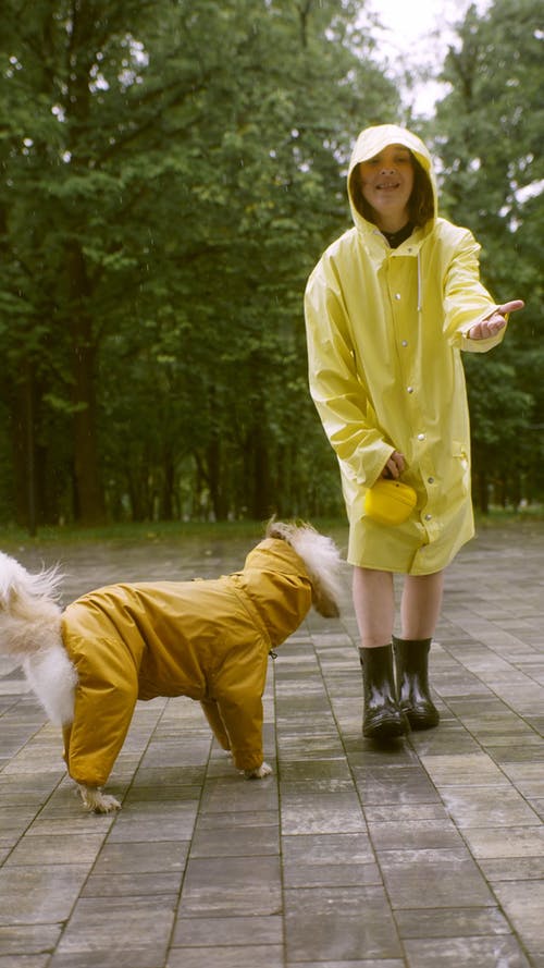 有关伴侣, 垂直视频, 女人的免费素材视频