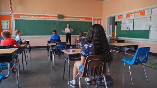 有关举手, 儿童, 同学的免费素材视频