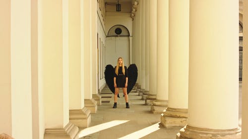 有关个性, 全景, 天使的免费素材视频