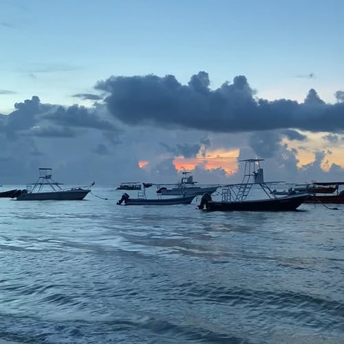 有关停泊, 地平线, 天性的免费素材视频