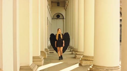 有关列, 天使, 女人的免费素材视频