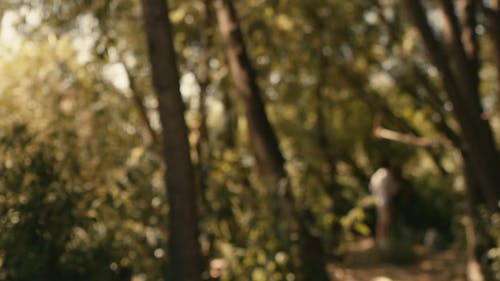 有关修道者, 健康的生活型态, 健身的免费素材视频