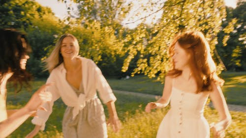 有关享受, 公园, 友谊的免费素材视频