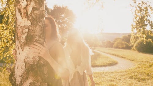 有关享受, 公园, 博霍的免费素材视频