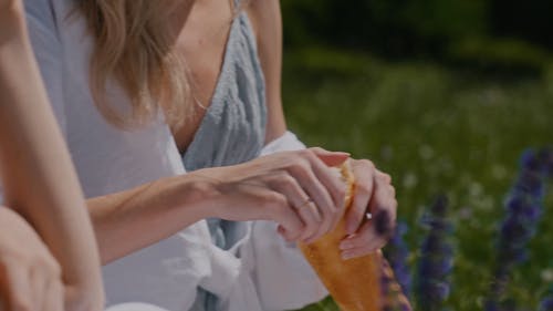 有关人, 夏天, 天性的免费素材视频