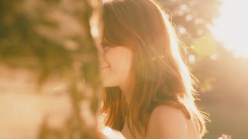 有关享受, 公园, 博霍的免费素材视频