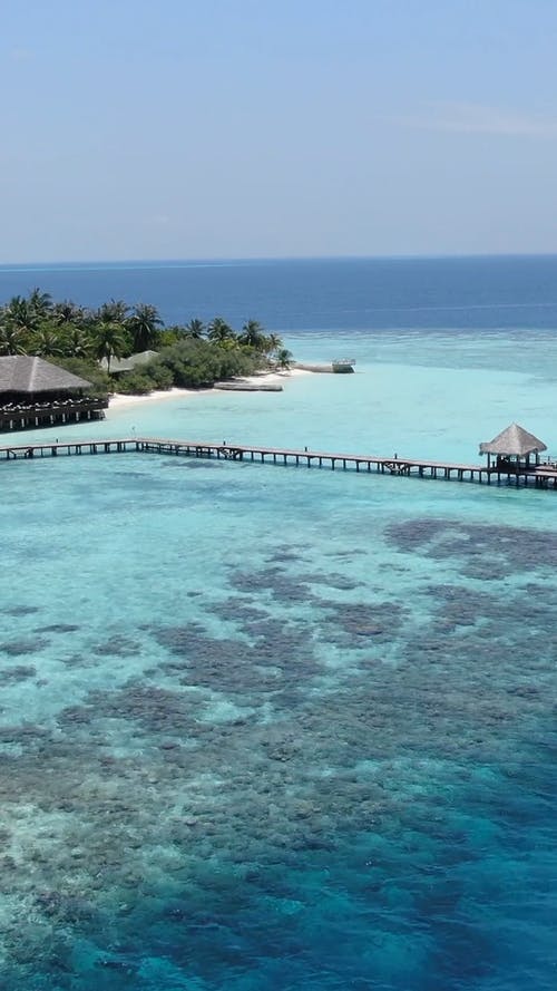 有关垂直视频, 天堂, 岸边的免费素材视频