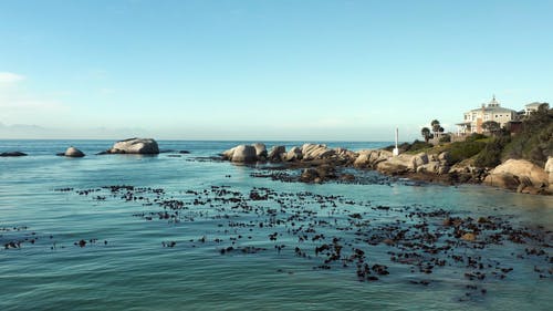 有关天性, 岩石海岸, 巨石的免费素材视频