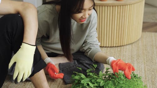 有关人, 天性, 女人的免费素材视频