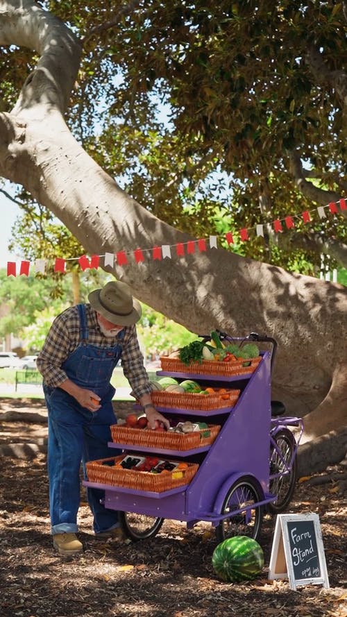 有关人, 出售, 垂直视频的免费素材视频