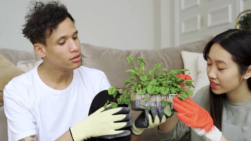 有关人, 天性, 女人的免费素材视频