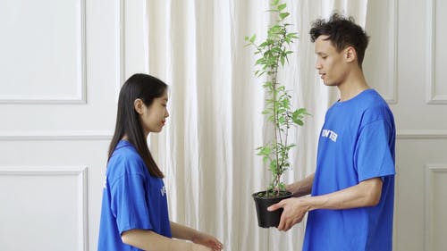 有关人, 健康, 天性的免费素材视频