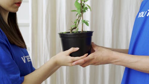 有关一起, 人, 侧面图的免费素材视频