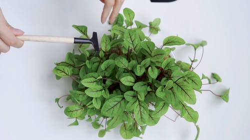 有关土, 天性, 工厂的免费素材视频