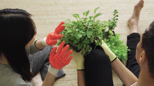 有关人, 天性, 女人的免费素材视频