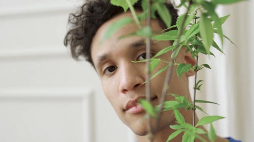 有关人, 健康, 全球的免费素材视频