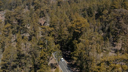 有关公路旅行, 冒险, 天性的免费素材视频