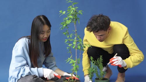 有关一起, 人, 土的免费素材视频