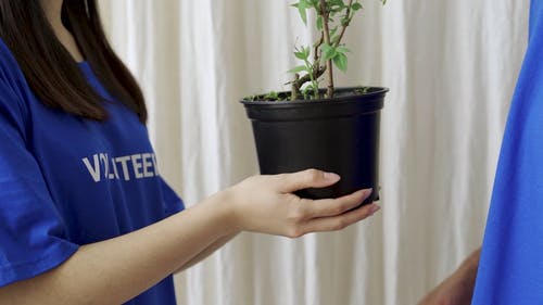 有关人, 健康, 天性的免费素材视频