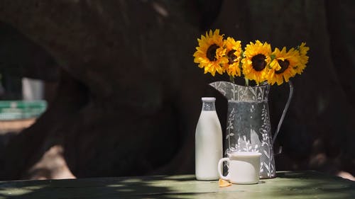 有关乳制品, 向日葵, 喝的免费素材视频