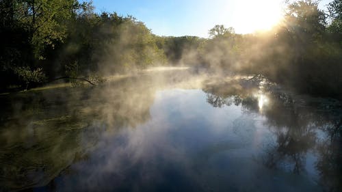 有关天性, 有雾, 水体的免费素材视频